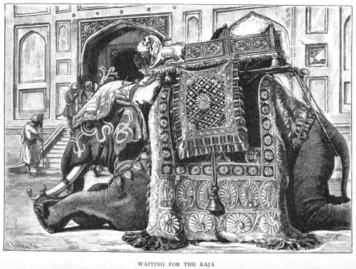 Waiting for the Raja